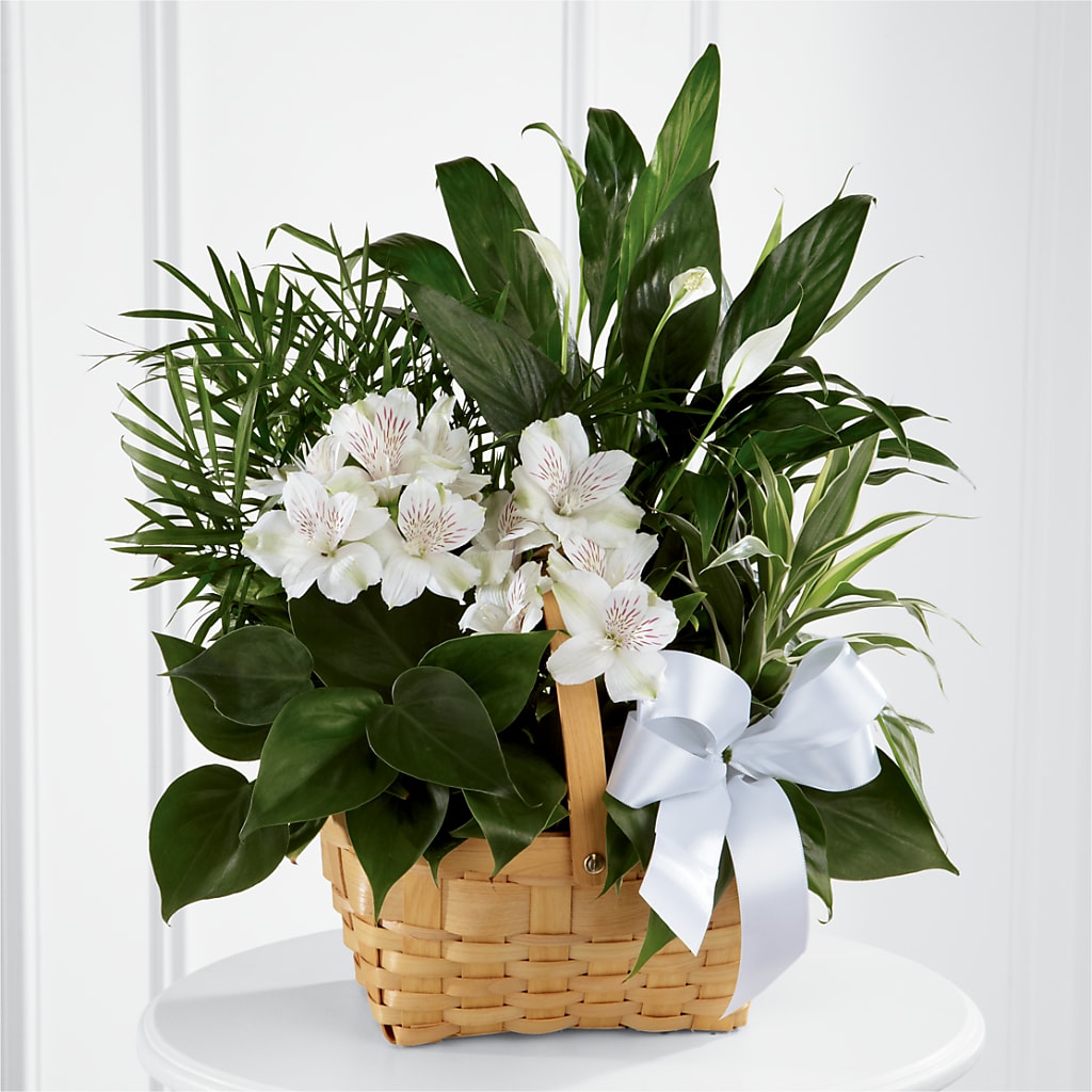 Peace & Serenity Dishgarden – BLOOMERS FLOWER & ASHLEY JO ANTIQUES, Corry PA