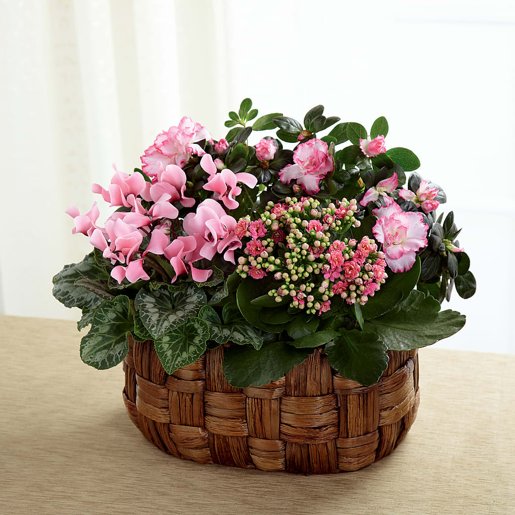 Pink Assortment – BLOOMERS FLOWER & ASHLEY JO ANTIQUES, Corry PA