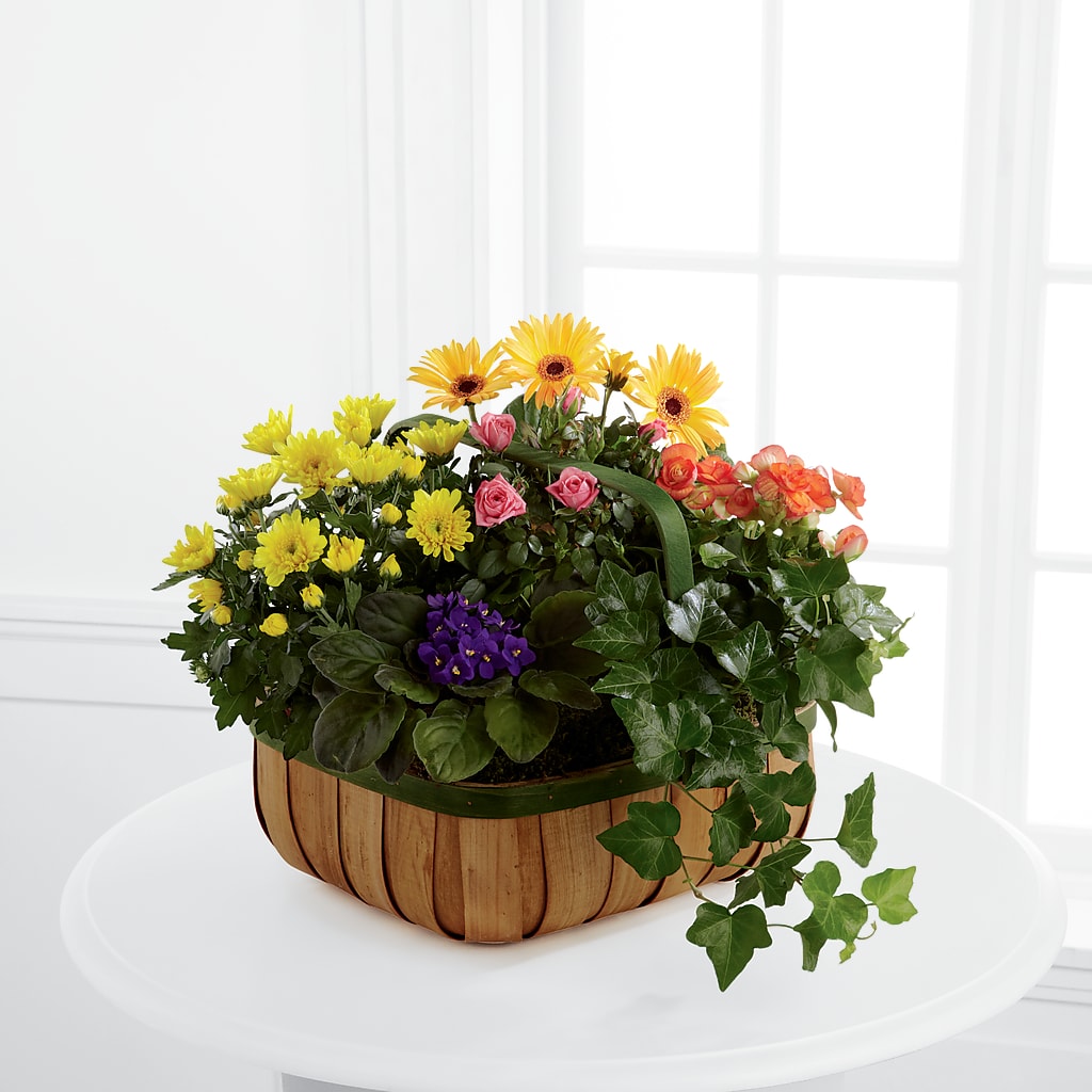 Gentle Blossoms Basket – BLOOMERS FLOWER & ASHLEY JO ANTIQUES, Corry PA