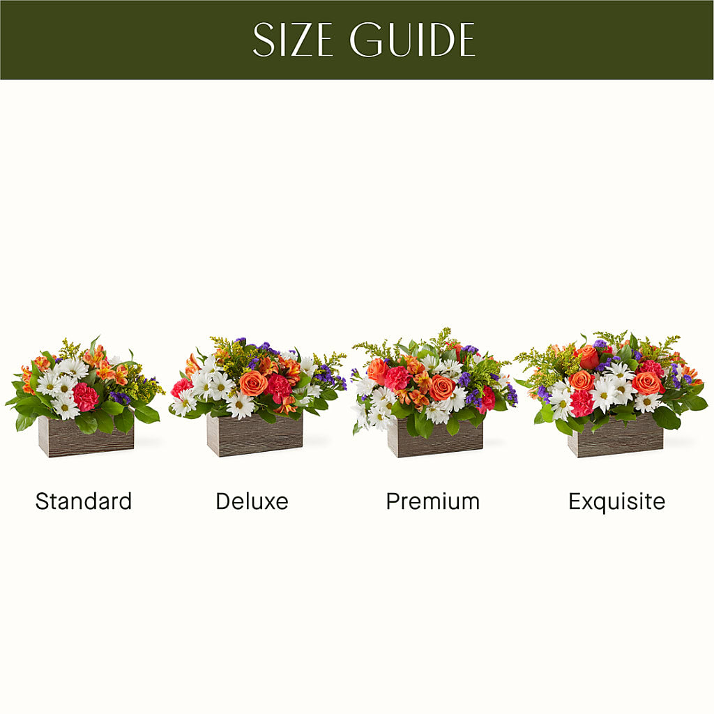 Oopsie Daisy Box Bouquet – BLOOMERS FLOWER & ASHLEY JO ANTIQUES, Corry PA