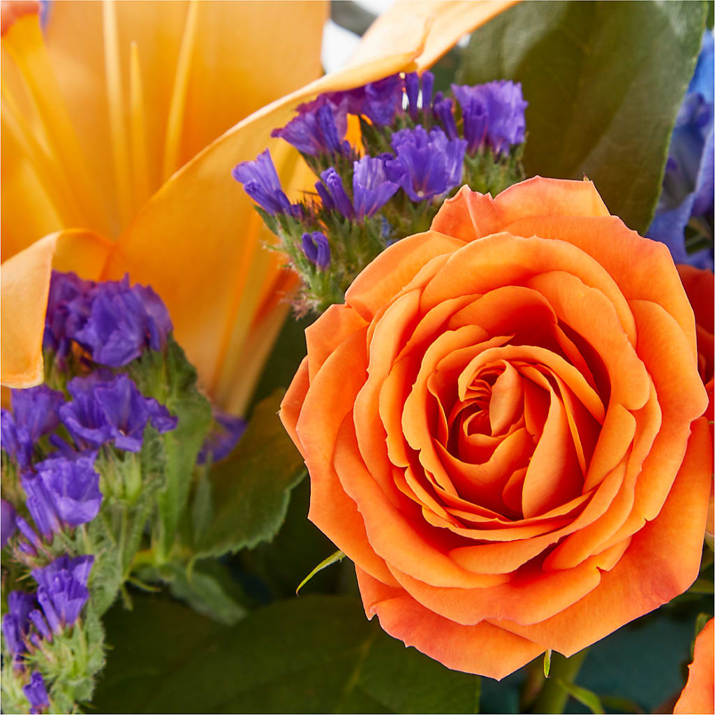 Radiant Citrus Box Bouquet – BLOOMERS FLOWER & ASHLEY JO ANTIQUES, Corry PA