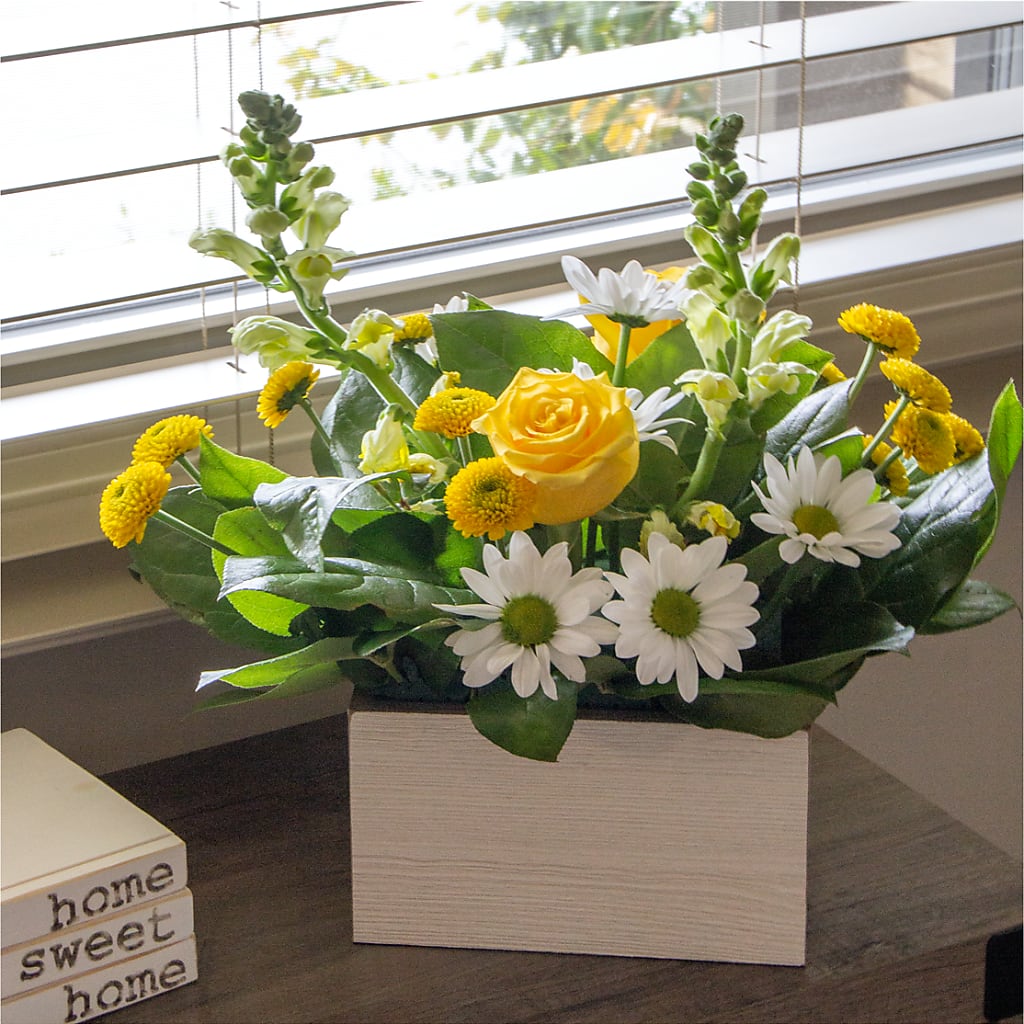 Sun Salutation Box Bouquet – BLOOMERS FLOWER & ASHLEY JO ANTIQUES, Corry PA