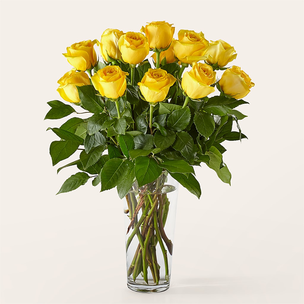 Long Stem Yellow Rose Bouquet – BLOOMERS FLOWER & ASHLEY JO ANTIQUES, Corry PA