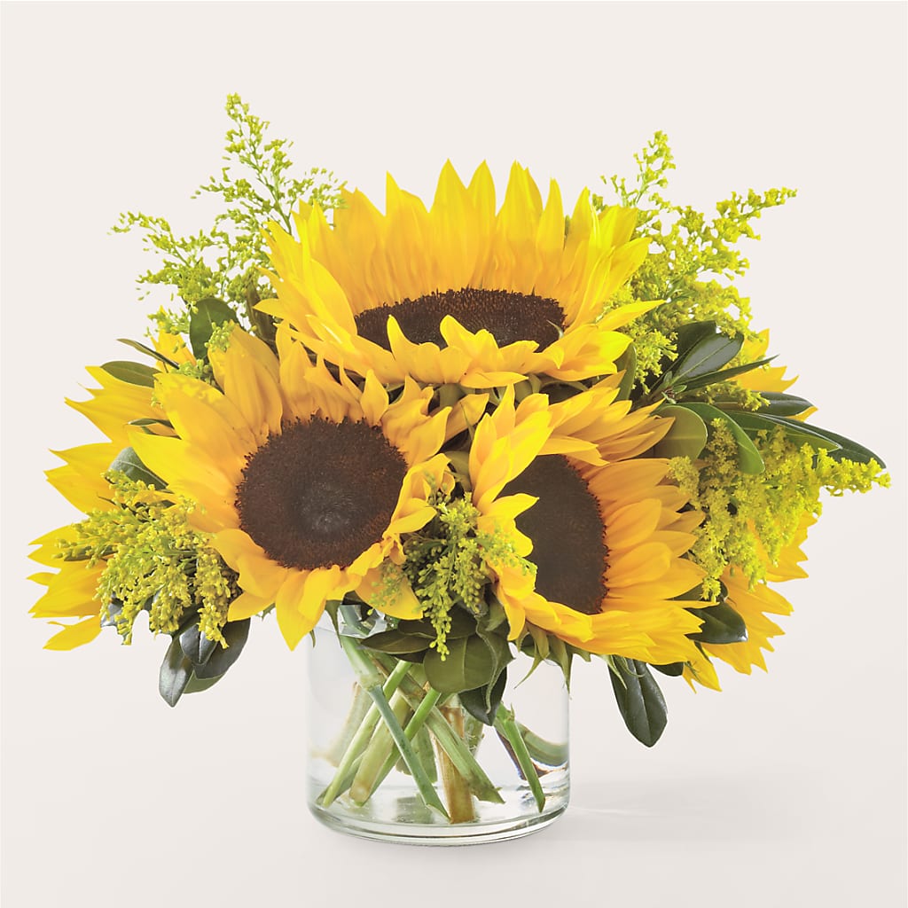 Beaming Sunflower Bouquet – BLOOMERS FLOWER & ASHLEY JO ANTIQUES, Corry PA