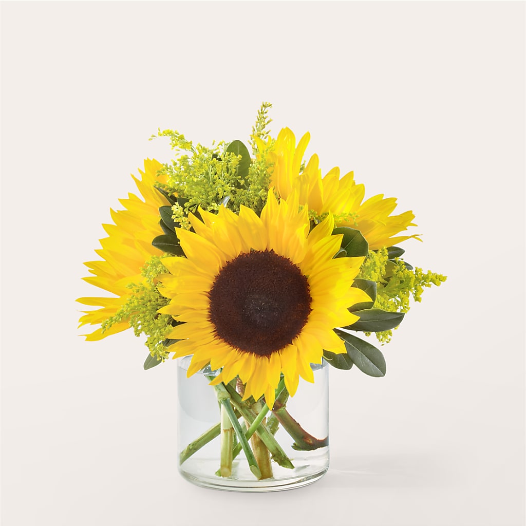 Beaming Sunflower Bouquet – BLOOMERS FLOWER & ASHLEY JO ANTIQUES, Corry PA