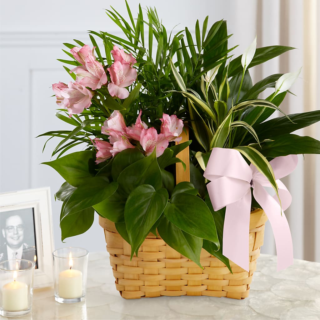 Living Spirit Dishgarden – BLOOMERS FLOWER & ASHLEY JO ANTIQUES, Corry PA