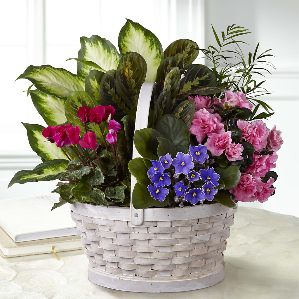 Peaceful Garden Planter – BLOOMERS FLOWER & ASHLEY JO ANTIQUES, Corry PA