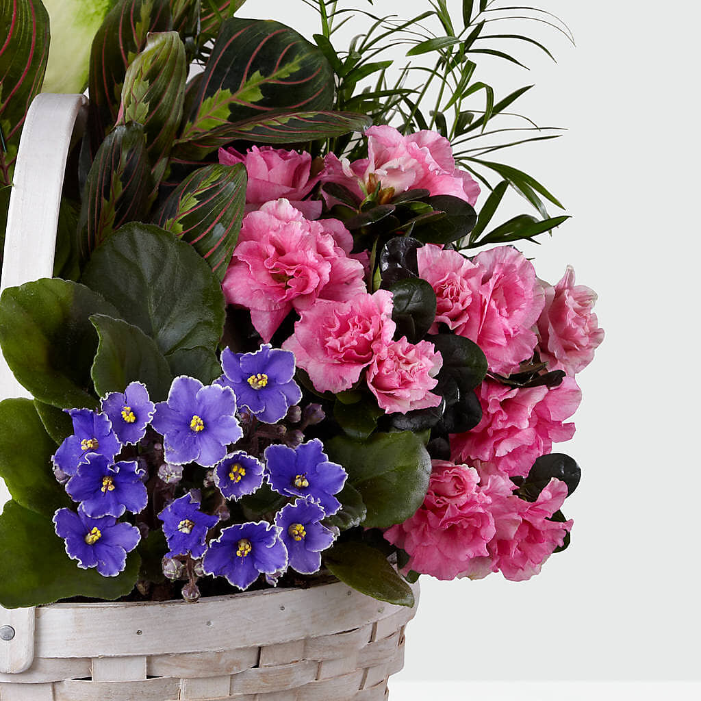 Peaceful Garden Planter – BLOOMERS FLOWER & ASHLEY JO ANTIQUES, Corry PA