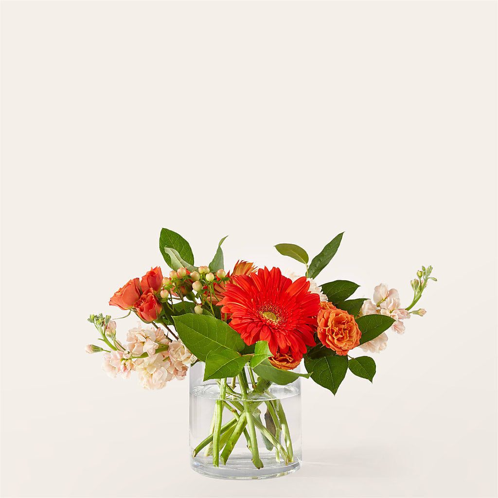 Paloma Please Bouquet – BLOOMERS FLOWER & ASHLEY JO ANTIQUES, Corry PA