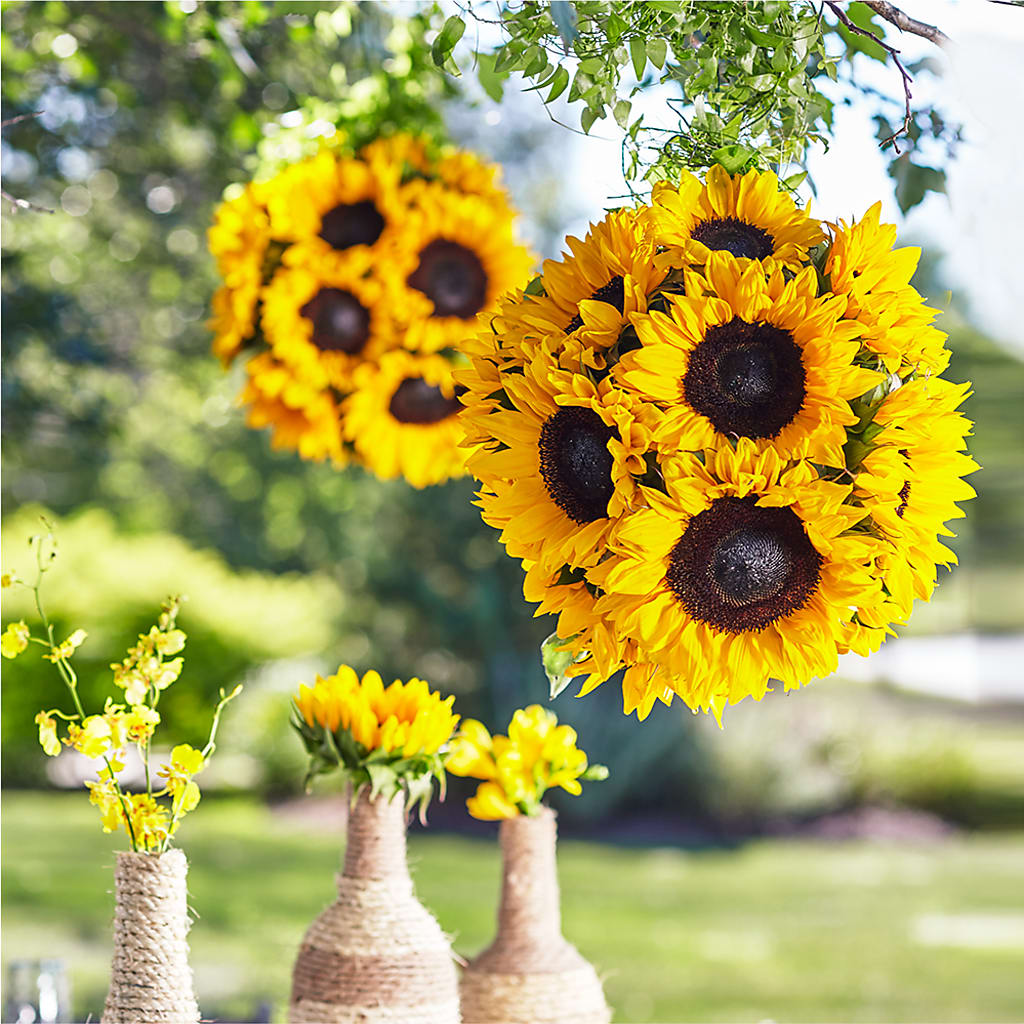 Sublime Garden Hanging Arrangement – BLOOMERS FLOWER & ASHLEY JO ANTIQUES, Corry PA