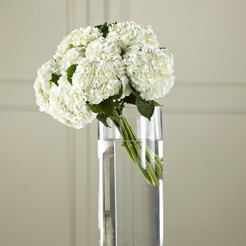 White Hydrangea Hand-Tied Bouquet – BLOOMERS FLOWER & ASHLEY JO ANTIQUES, Corry PA