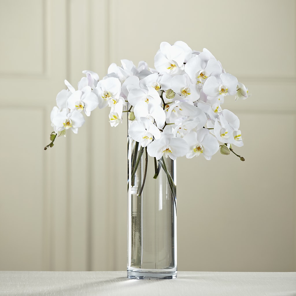 White Phalaenopsis Bouquet – BLOOMERS FLOWER & ASHLEY JO ANTIQUES, Corry PA