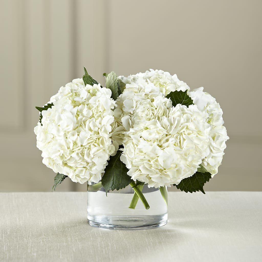 White Hydrangea Bouquet – BLOOMERS FLOWER & ASHLEY JO ANTIQUES, Corry PA