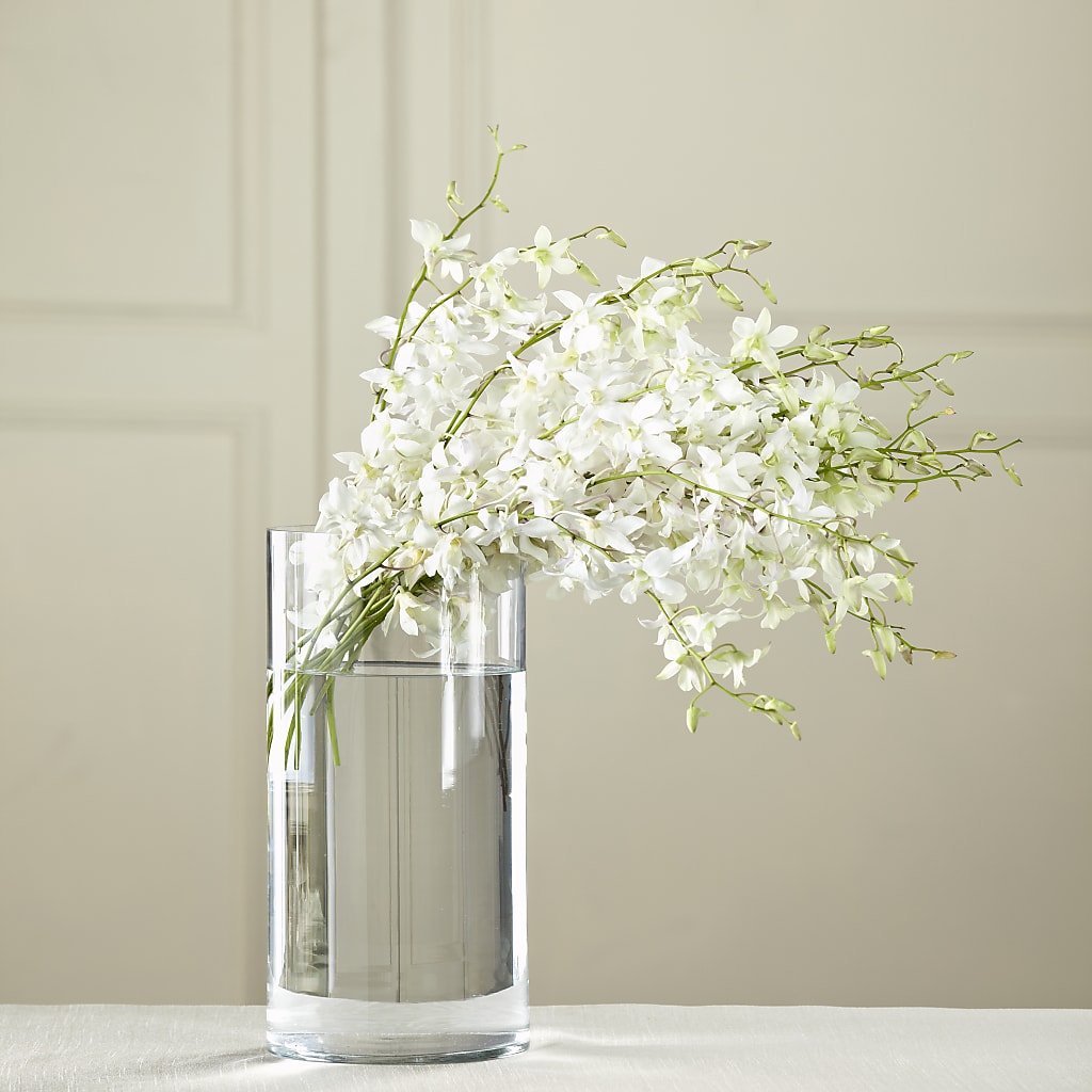 White Dendrobium Bouquet – BLOOMERS FLOWER & ASHLEY JO ANTIQUES, Corry PA