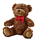 Adorable Plush Bear – BLOOMERS FLOWER & ASHLEY JO ANTIQUES, Corry PA