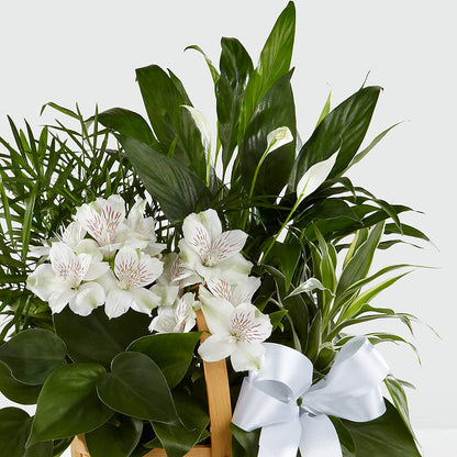 Peace & Serenity Dishgarden – BLOOMERS FLOWER & ASHLEY JO ANTIQUES, Corry PA