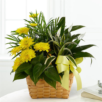 Loving Light Dishgarden – BLOOMERS FLOWER & ASHLEY JO ANTIQUES, Corry PA
