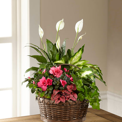 Dream in Pink Dishgarden – BLOOMERS FLOWER & ASHLEY JO ANTIQUES, Corry PA