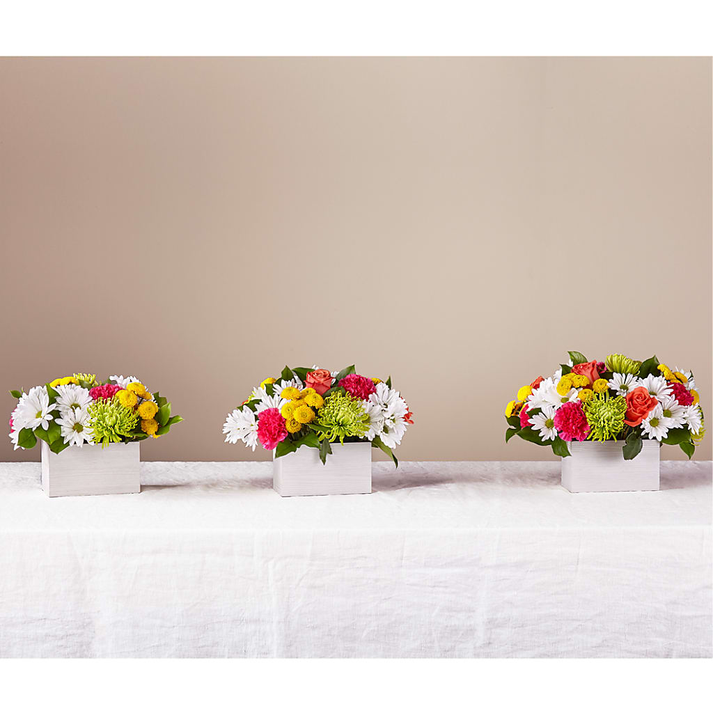 Sorbet Bouquet – BLOOMERS FLOWER & ASHLEY JO ANTIQUES, Corry PA