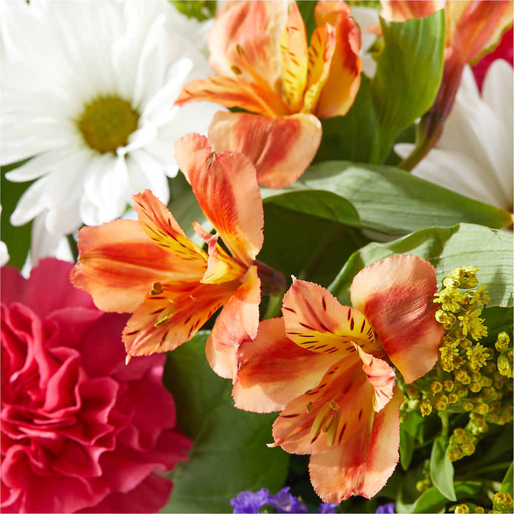 Oopsie Daisy Box Bouquet – BLOOMERS FLOWER & ASHLEY JO ANTIQUES, Corry PA