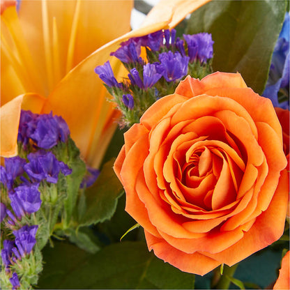 Radiant Citrus Box Bouquet – BLOOMERS FLOWER & ASHLEY JO ANTIQUES, Corry PA