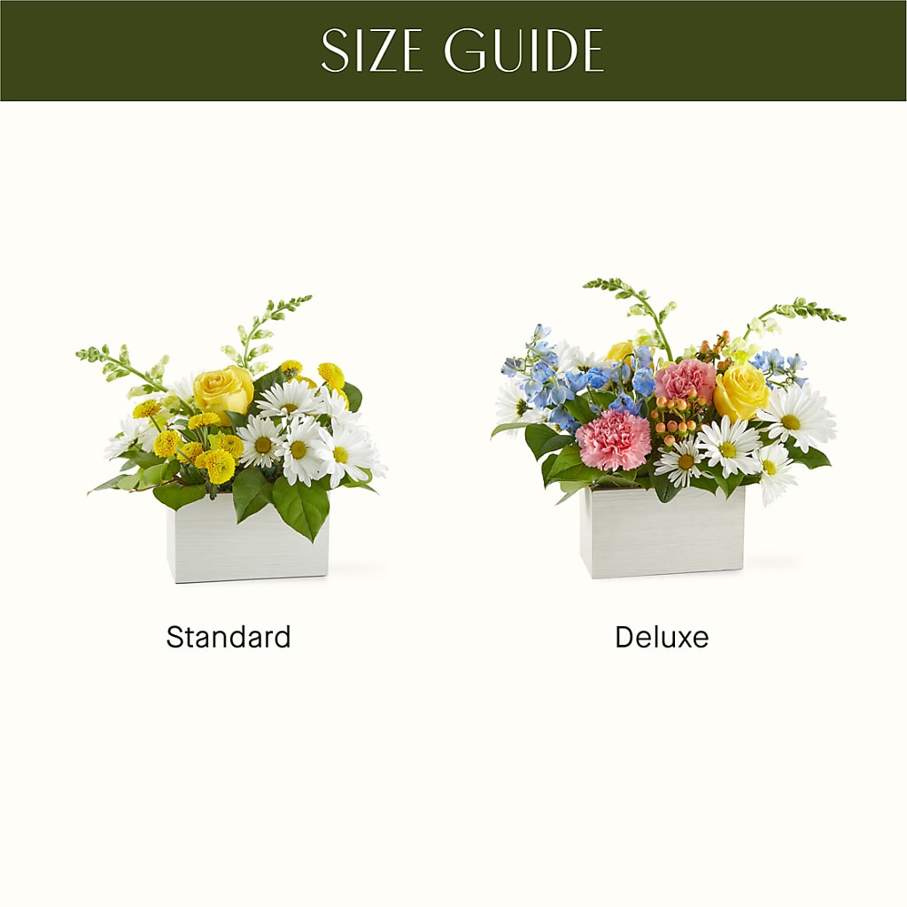 Sun Salutation Box Bouquet – BLOOMERS FLOWER & ASHLEY JO ANTIQUES, Corry PA