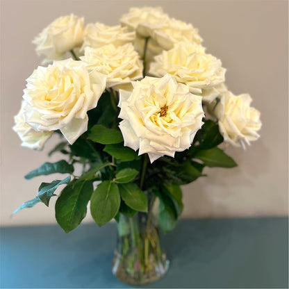 Long Stem Yellow Rose Bouquet – BLOOMERS FLOWER & ASHLEY JO ANTIQUES, Corry PA