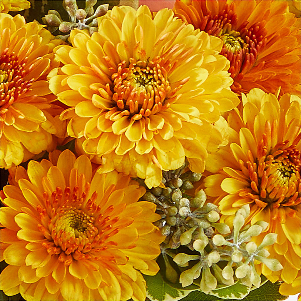 Peachy Pumpkin – BLOOMERS FLOWER & ASHLEY JO ANTIQUES, Corry PA