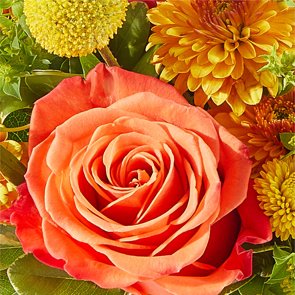 Gourdgeous Pumpkin – BLOOMERS FLOWER & ASHLEY JO ANTIQUES, Corry PA
