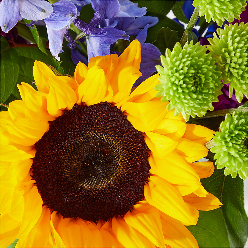 Catching Rays Bouquet – BLOOMERS FLOWER & ASHLEY JO ANTIQUES, Corry PA