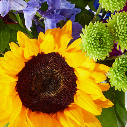 Catching Rays Bouquet – BLOOMERS FLOWER & ASHLEY JO ANTIQUES, Corry PA