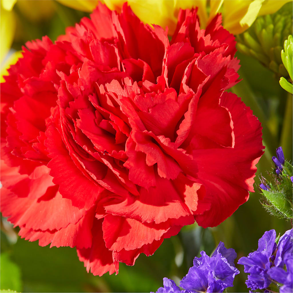 Brighter Days Bouquet – BLOOMERS FLOWER & ASHLEY JO ANTIQUES, Corry PA