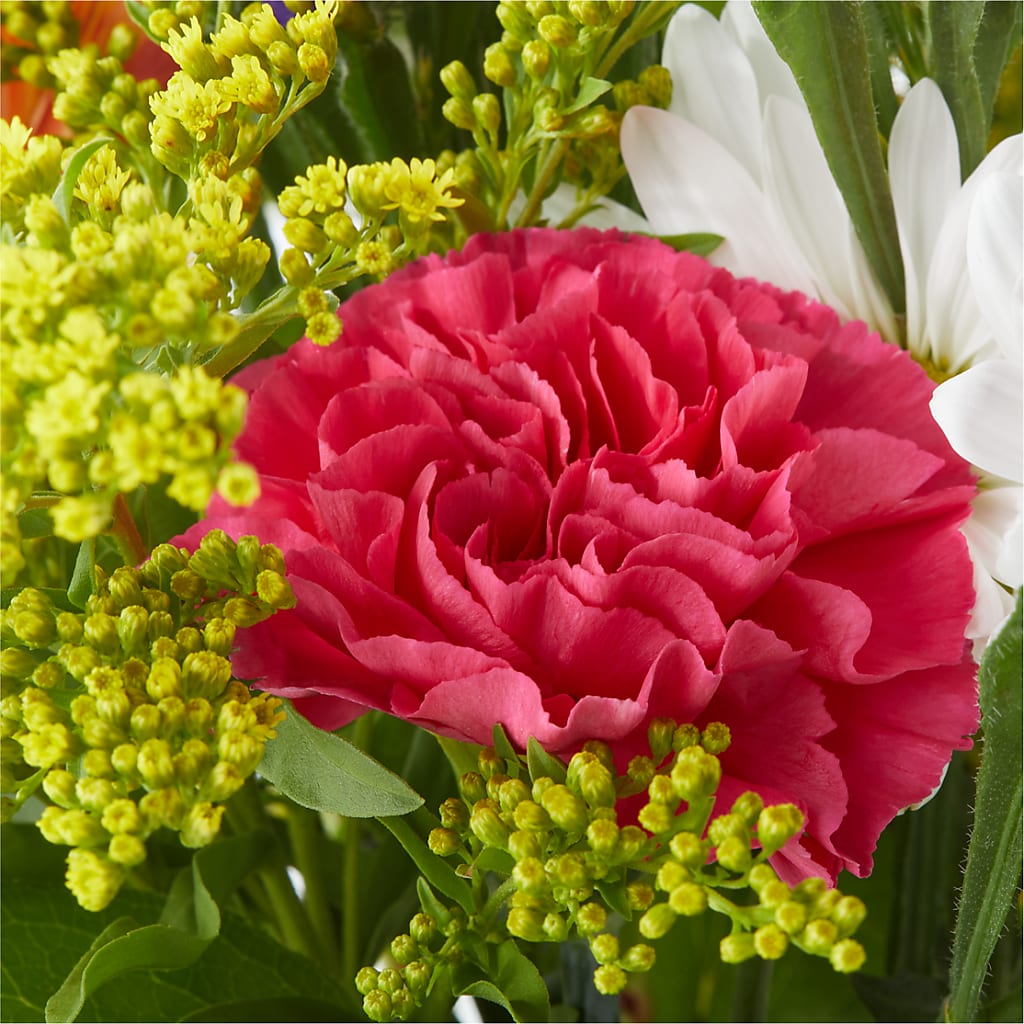 Oopsie Daisy Bouquet – BLOOMERS FLOWER & ASHLEY JO ANTIQUES, Corry PA