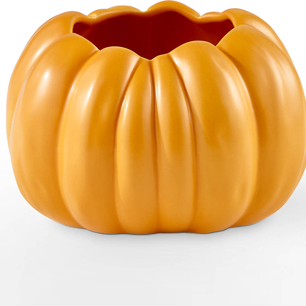 Golden Gourd Pumpkin Bouquet – BLOOMERS FLOWER & ASHLEY JO ANTIQUES, Corry PA