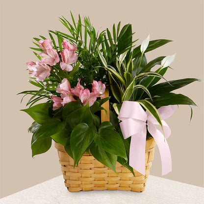 Living Spirit Dishgarden – BLOOMERS FLOWER & ASHLEY JO ANTIQUES, Corry PA