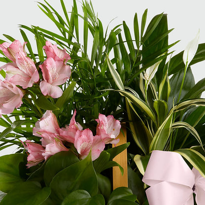 Living Spirit Dishgarden – BLOOMERS FLOWER & ASHLEY JO ANTIQUES, Corry PA