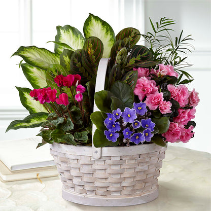 Peaceful Garden Planter – BLOOMERS FLOWER & ASHLEY JO ANTIQUES, Corry PA