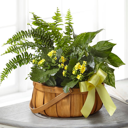Always Dear Dishgarden – BLOOMERS FLOWER & ASHLEY JO ANTIQUES, Corry PA