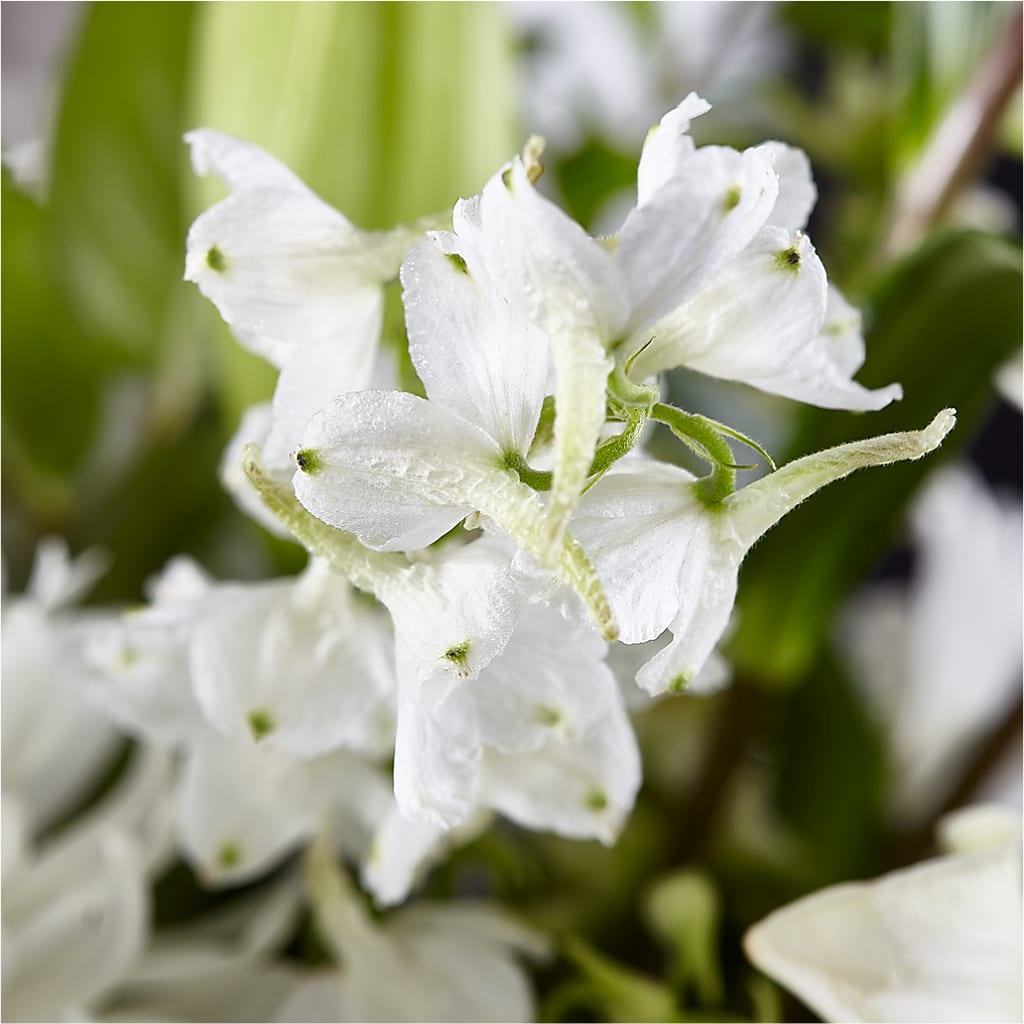 Classic Ivory – A Florist Original – BLOOMERS FLOWER & ASHLEY JO ANTIQUES, Corry PA