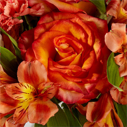 Apricot Glow Bouquet – BLOOMERS FLOWER & ASHLEY JO ANTIQUES, Corry PA