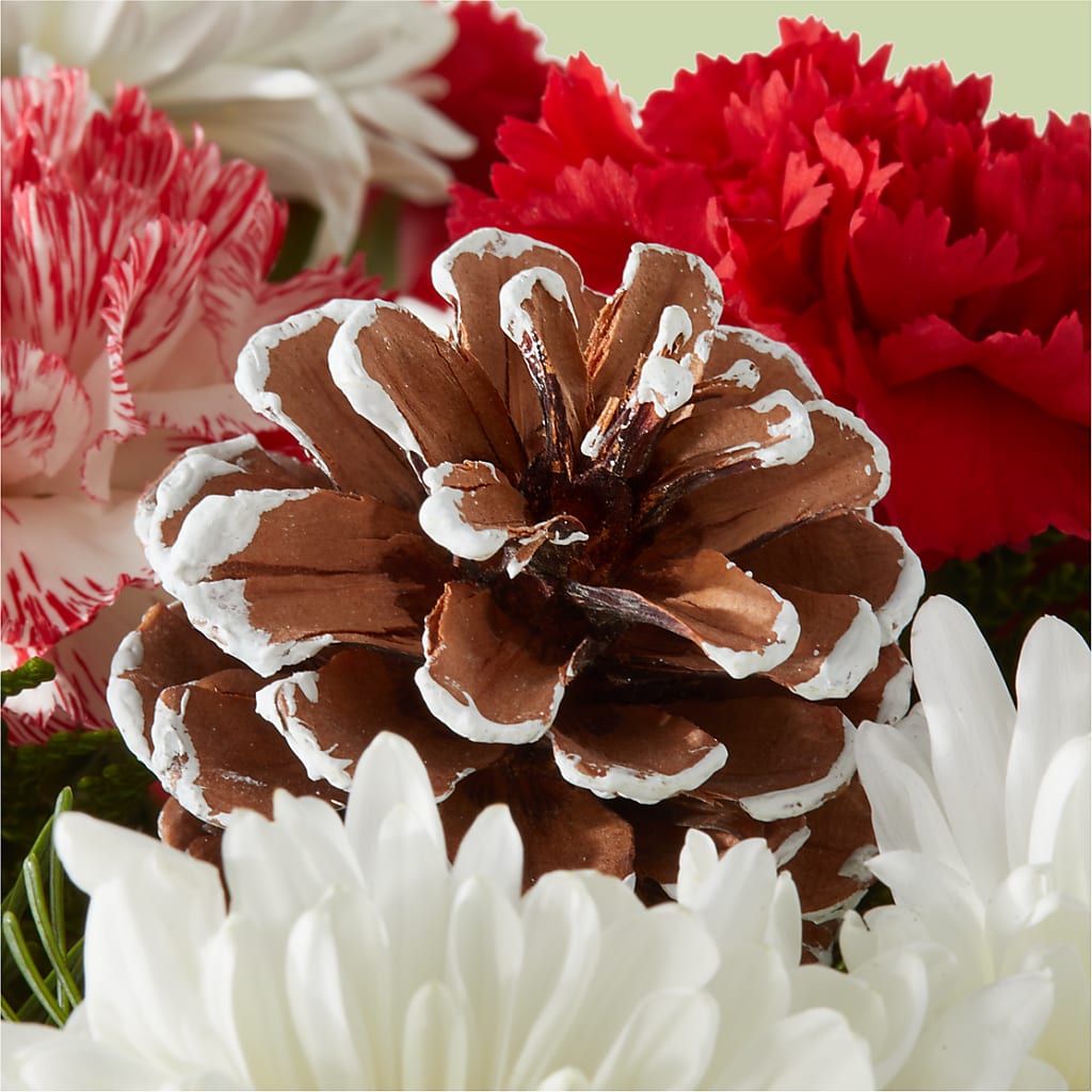 Candy Cane Lane Bouquet – BLOOMERS FLOWER & ASHLEY JO ANTIQUES, Corry PA