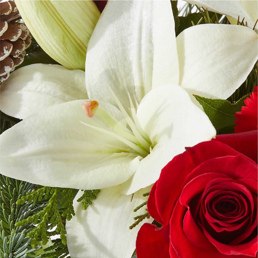 Oh So Jolly Bouquet – BLOOMERS FLOWER & ASHLEY JO ANTIQUES, Corry PA