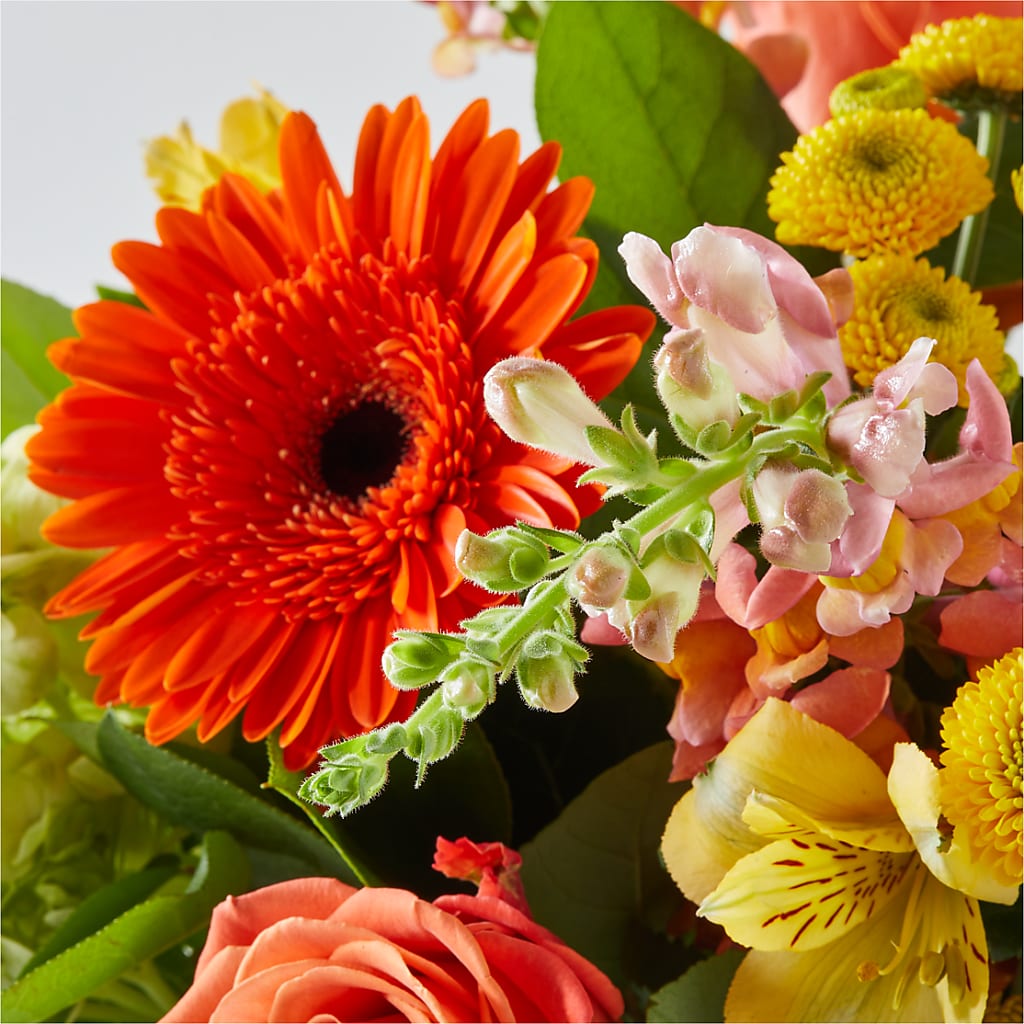 Autumn Sunshine Bouquet – BLOOMERS FLOWER & ASHLEY JO ANTIQUES, Corry PA