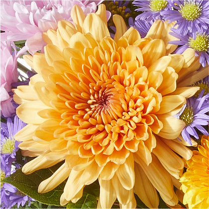 Countryside Bouquet – BLOOMERS FLOWER & ASHLEY JO ANTIQUES, Corry PA