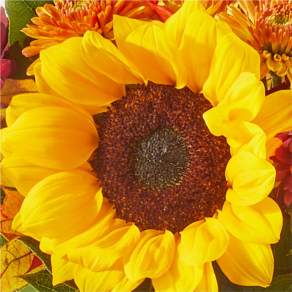 Sunny Side Bouquet – BLOOMERS FLOWER & ASHLEY JO ANTIQUES, Corry PA