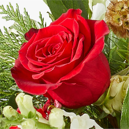 Deck the Halls Bouquet – BLOOMERS FLOWER & ASHLEY JO ANTIQUES, Corry PA