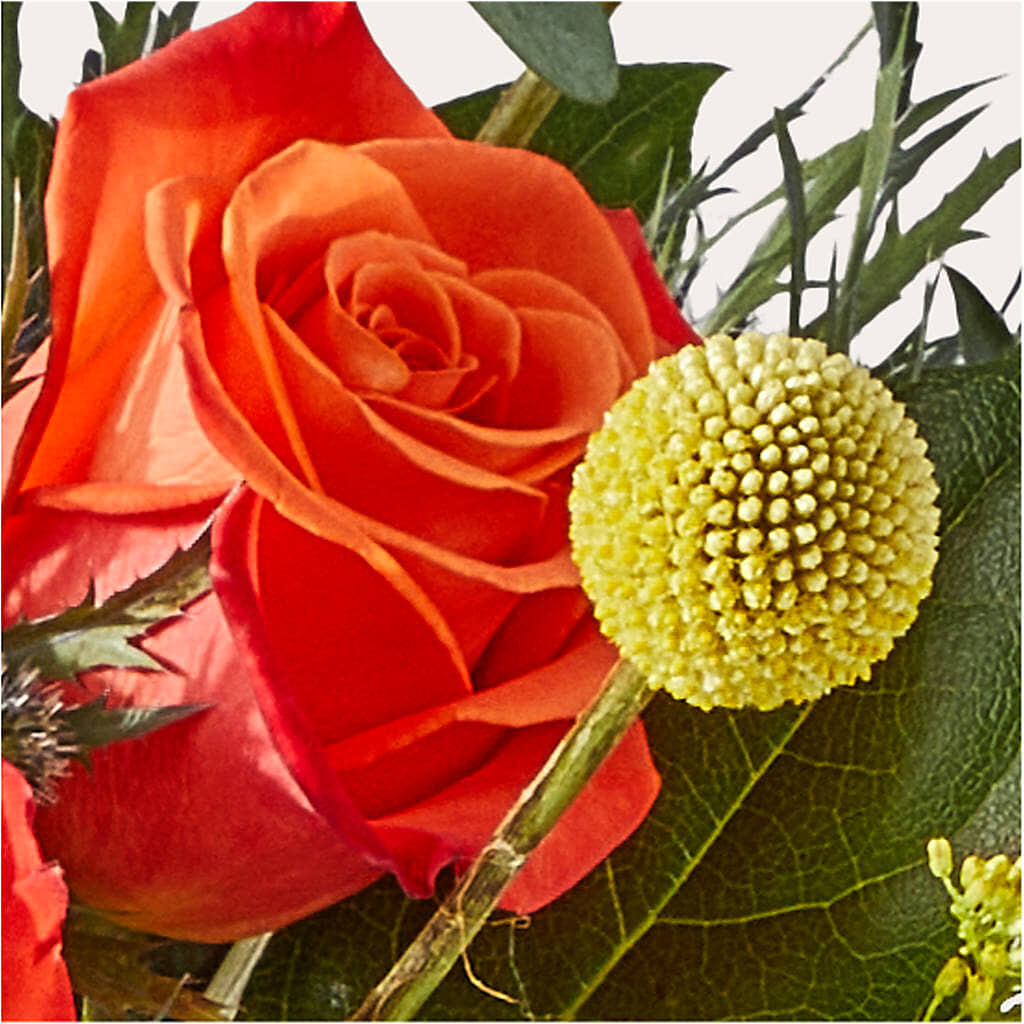 Disco Bouquet – BLOOMERS FLOWER & ASHLEY JO ANTIQUES, Corry PA