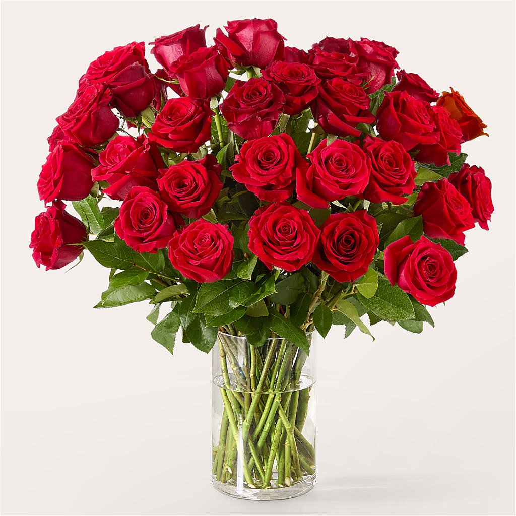 The One Red Rose Bouquet – BLOOMERS FLOWER & ASHLEY JO ANTIQUES, Corry PA