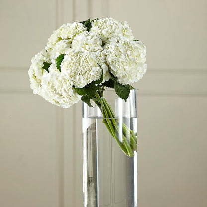 White Hydrangea Hand-Tied Bouquet – BLOOMERS FLOWER & ASHLEY JO ANTIQUES, Corry PA