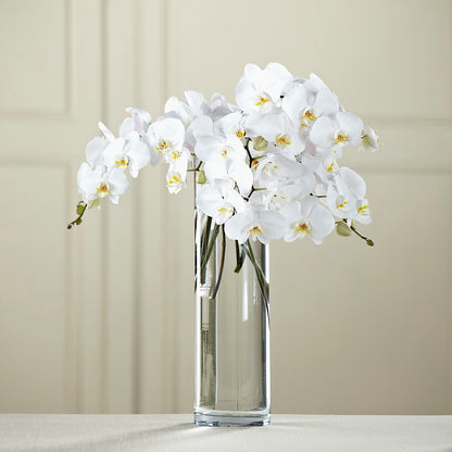 White Phalaenopsis Bouquet – BLOOMERS FLOWER & ASHLEY JO ANTIQUES, Corry PA